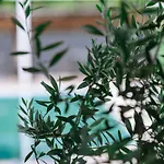 Inspira Boutique Hotel Thassos - Adults Only Prínos