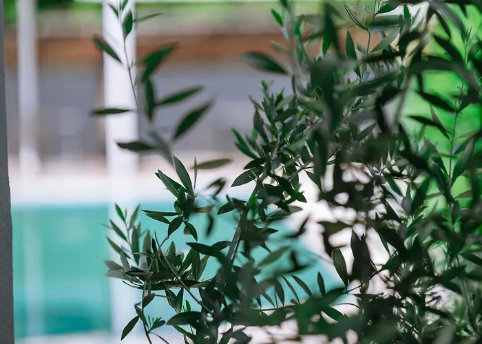 Inspira Boutique Thassos - Adults Only Prínos